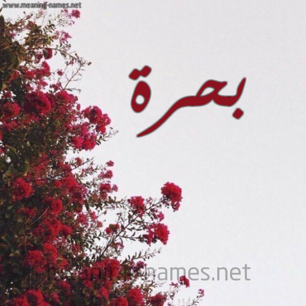 شكل 18 صوره الورد الأحمر للإسم بخط رقعة صورة اسم بحرة Bhrh