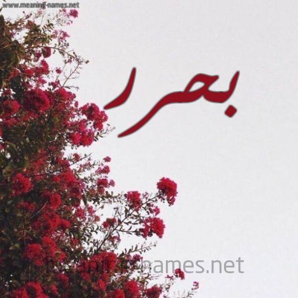 شكل 18 صوره الورد الأحمر للإسم بخط رقعة صورة اسم بحرر Bahar