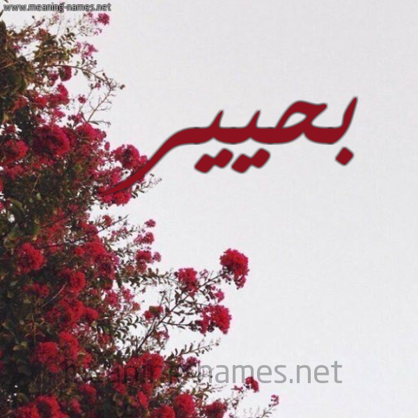 شكل 18 صوره الورد الأحمر للإسم بخط رقعة صورة اسم بحيير Baheer