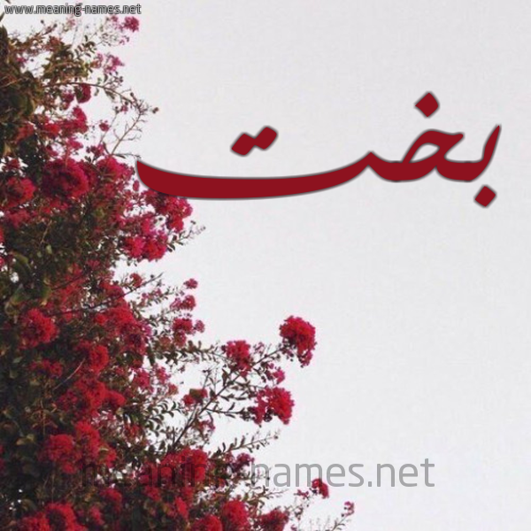 شكل 18 صوره الورد الأحمر للإسم بخط رقعة صورة اسم بخت Bkht