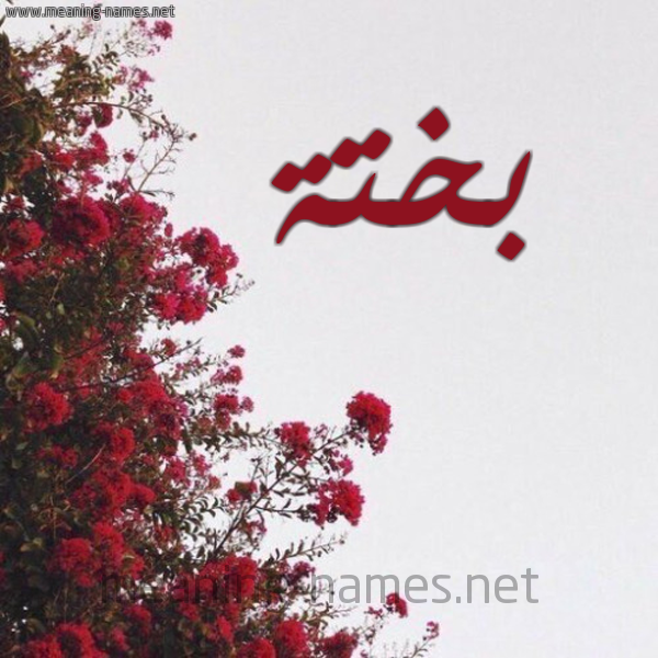 شكل 18 صوره الورد الأحمر للإسم بخط رقعة صورة اسم بختة bkhta
