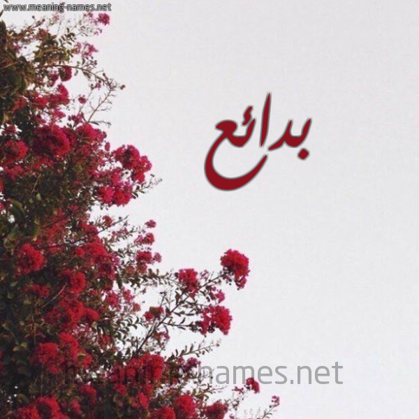 شكل 18 صوره الورد الأحمر للإسم بخط رقعة صورة اسم بدائع Bda"i"