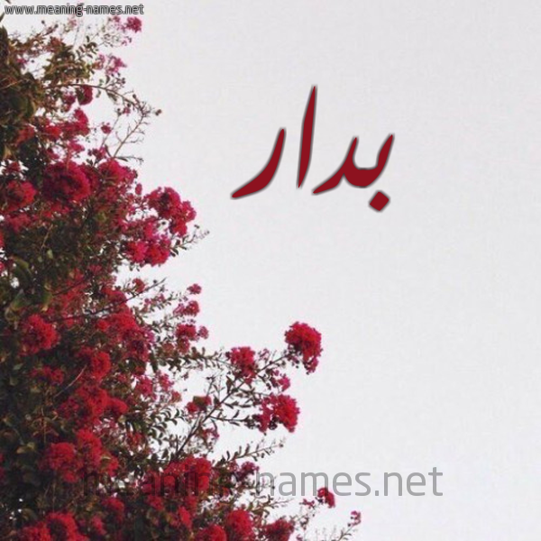 شكل 18 صوره الورد الأحمر للإسم بخط رقعة صورة اسم بدار Bdar