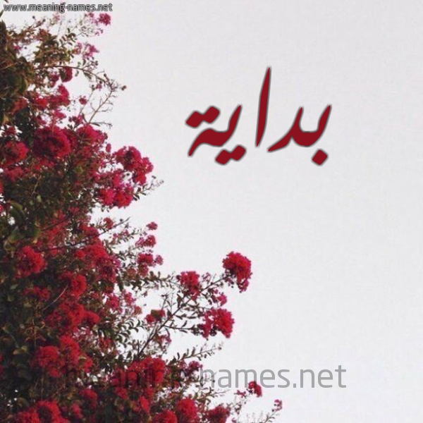 شكل 18 صوره الورد الأحمر للإسم بخط رقعة صورة اسم بداية Bdayh