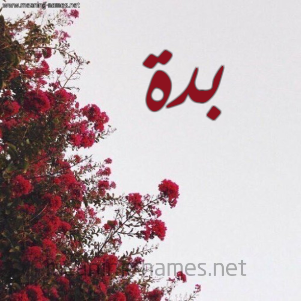 شكل 18 صوره الورد الأحمر للإسم بخط رقعة صورة اسم بدة Bd'h