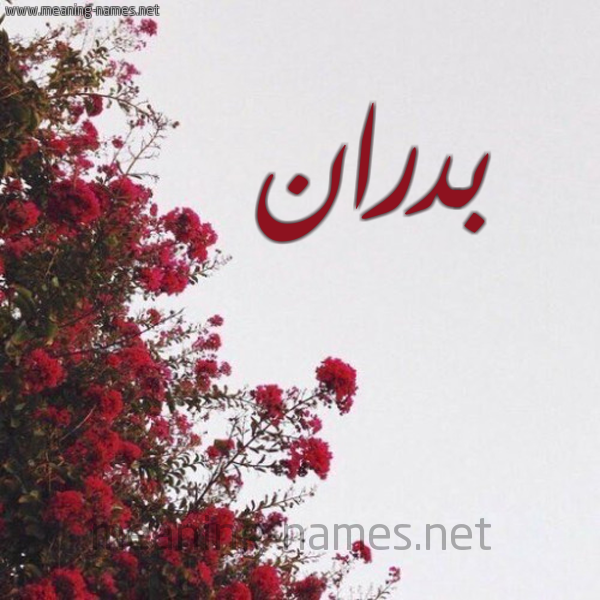 شكل 18 صوره الورد الأحمر للإسم بخط رقعة صورة اسم بدران Badran