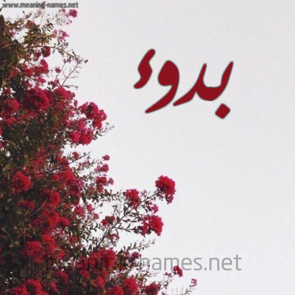 شكل 18 صوره الورد الأحمر للإسم بخط رقعة صورة اسم بدوء Bdw'a
