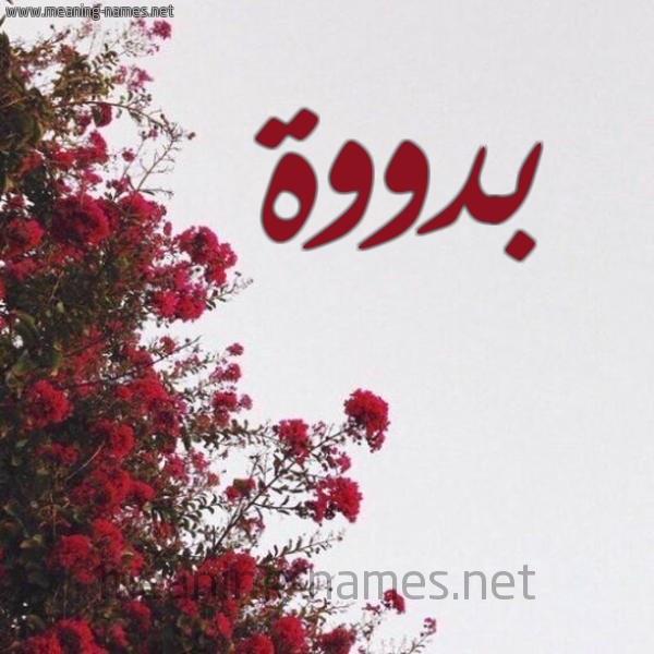 شكل 18 صوره الورد الأحمر للإسم بخط رقعة صورة اسم بدووة Badwa