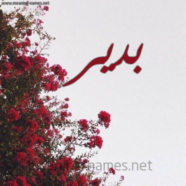 شكل 18 صوره الورد الأحمر للإسم بخط رقعة صورة اسم بدير Bdyr