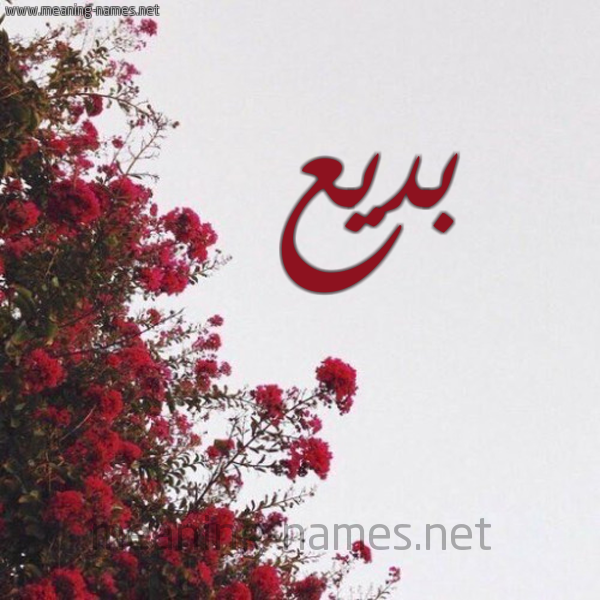 شكل 18 صوره الورد الأحمر للإسم بخط رقعة صورة اسم بديع badea