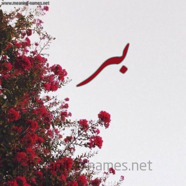 شكل 18 صوره الورد الأحمر للإسم بخط رقعة صورة اسم بر Br