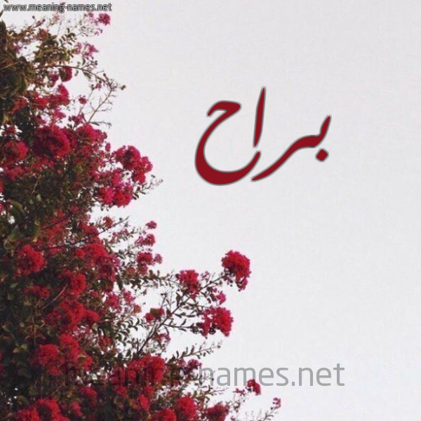 شكل 18 صوره الورد الأحمر للإسم بخط رقعة صورة اسم براح Brah