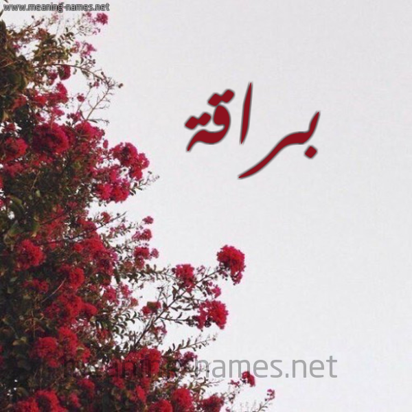 شكل 18 صوره الورد الأحمر للإسم بخط رقعة صورة اسم براقة Braqh