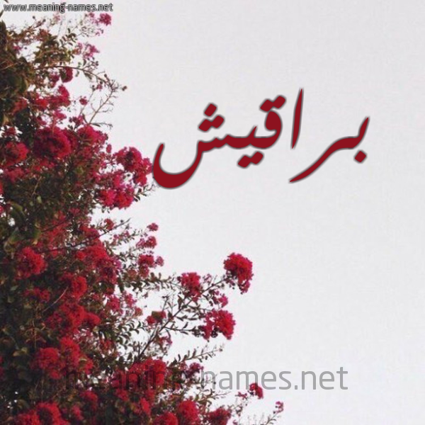 شكل 18 صوره الورد الأحمر للإسم بخط رقعة صورة اسم براقيش Baraqesh
