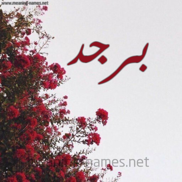 شكل 18 صوره الورد الأحمر للإسم بخط رقعة صورة اسم برجد Brjd