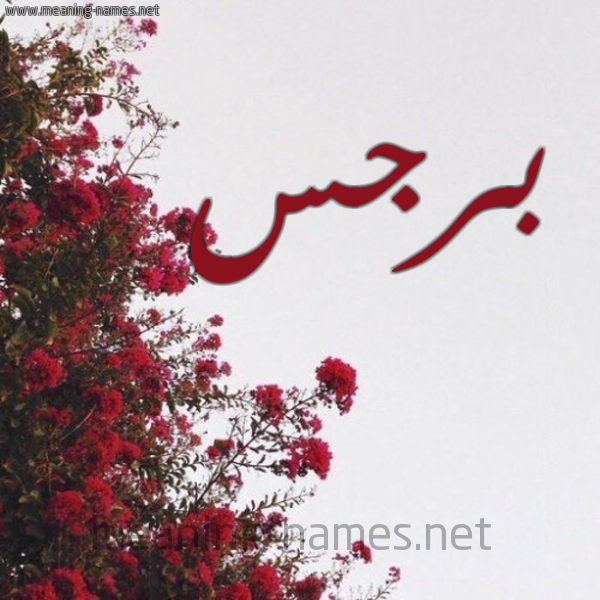 شكل 18 صوره الورد الأحمر للإسم بخط رقعة صورة اسم برجس Brgs