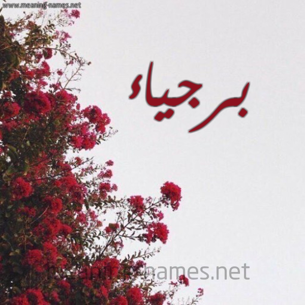 شكل 18 صوره الورد الأحمر للإسم بخط رقعة صورة اسم برجياء Barjaa