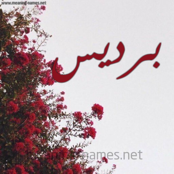 شكل 18 صوره الورد الأحمر للإسم بخط رقعة صورة اسم برديس Bardis