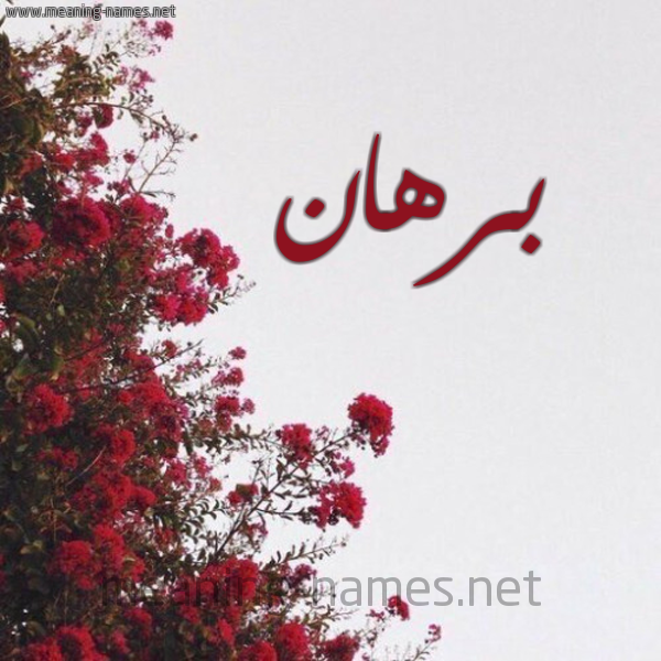 شكل 18 صوره الورد الأحمر للإسم بخط رقعة صورة اسم برهان Brhan