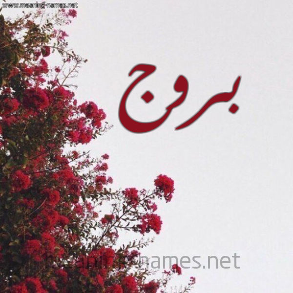 شكل 18 صوره الورد الأحمر للإسم بخط رقعة صورة اسم بروج Burouj