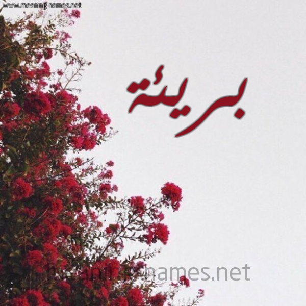 شكل 18 صوره الورد الأحمر للإسم بخط رقعة صورة اسم بريئة bareaa