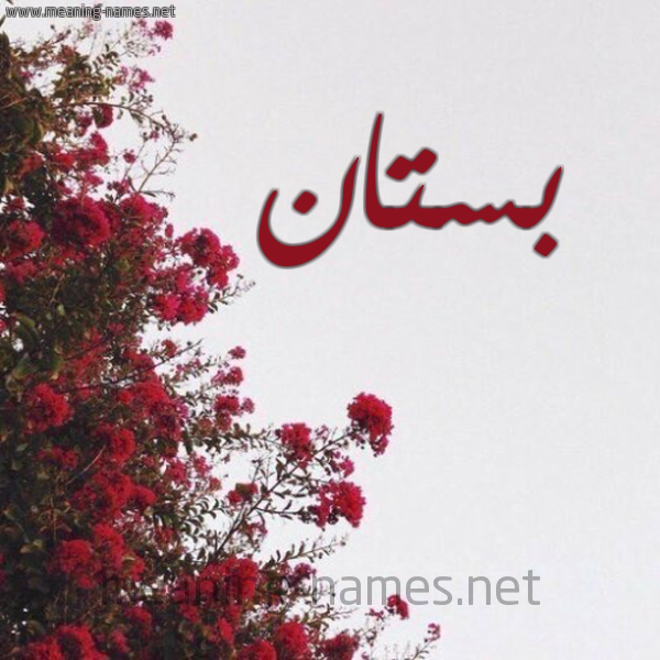 شكل 18 صوره الورد الأحمر للإسم بخط رقعة صورة اسم بستان Bstan