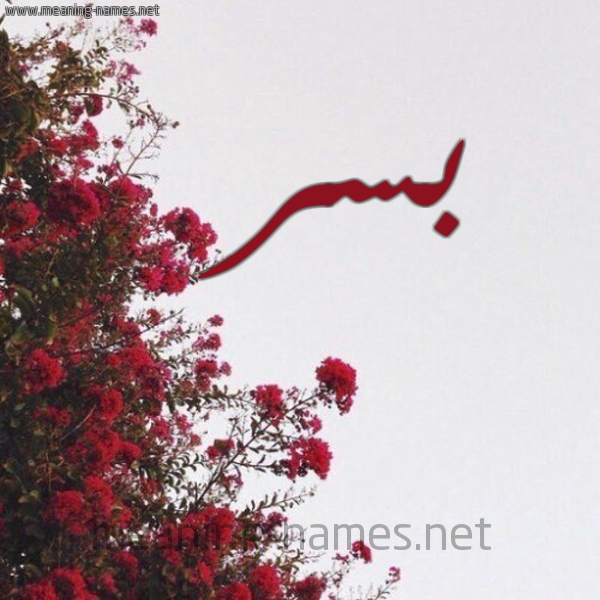 شكل 18 صوره الورد الأحمر للإسم بخط رقعة صورة اسم بسر Bsr