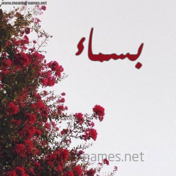 شكل 18 صوره الورد الأحمر للإسم بخط رقعة صورة اسم بسماء Bsma"a