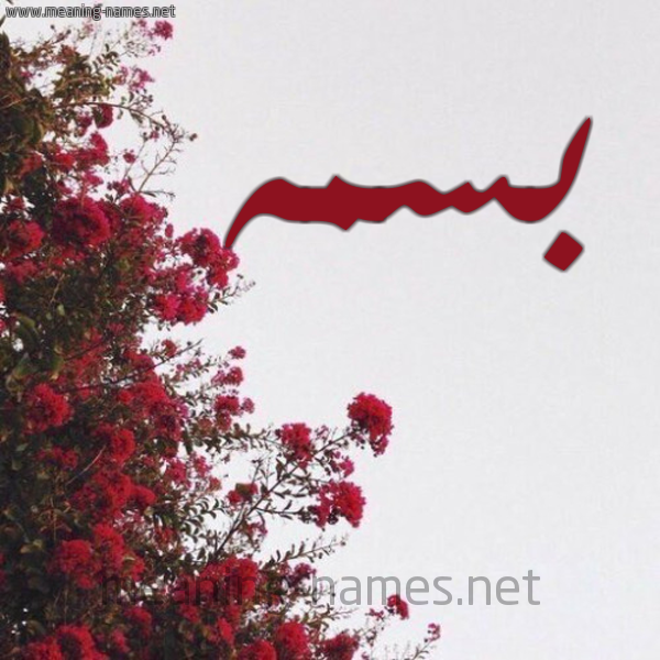 شكل 18 صوره الورد الأحمر للإسم بخط رقعة صورة اسم بسمه Basma