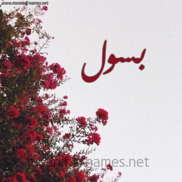 شكل 18 صوره الورد الأحمر للإسم بخط رقعة صورة اسم بسول Basoul