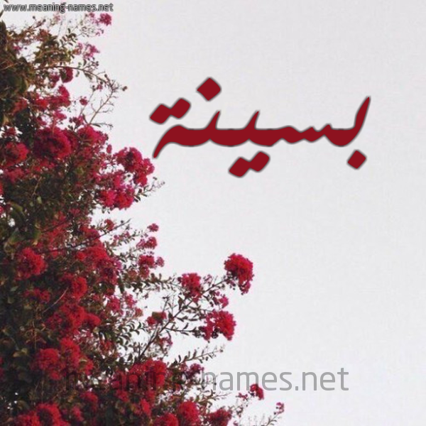 شكل 18 صوره الورد الأحمر للإسم بخط رقعة صورة اسم بسينة Bsynh