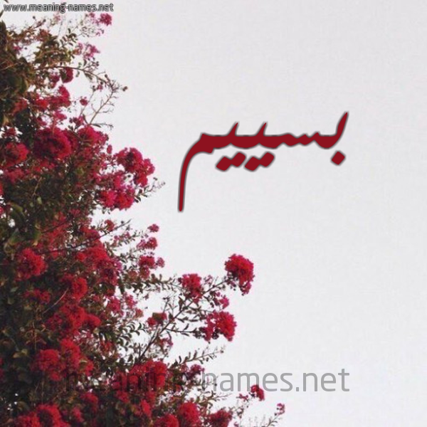 شكل 18 صوره الورد الأحمر للإسم بخط رقعة صورة اسم بسييم Bassim