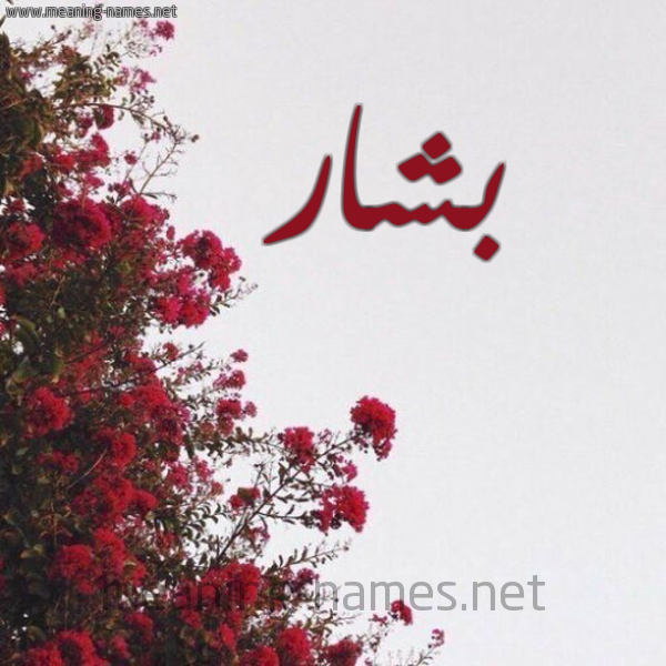 شكل 18 صوره الورد الأحمر للإسم بخط رقعة صورة اسم بشار Bshar
