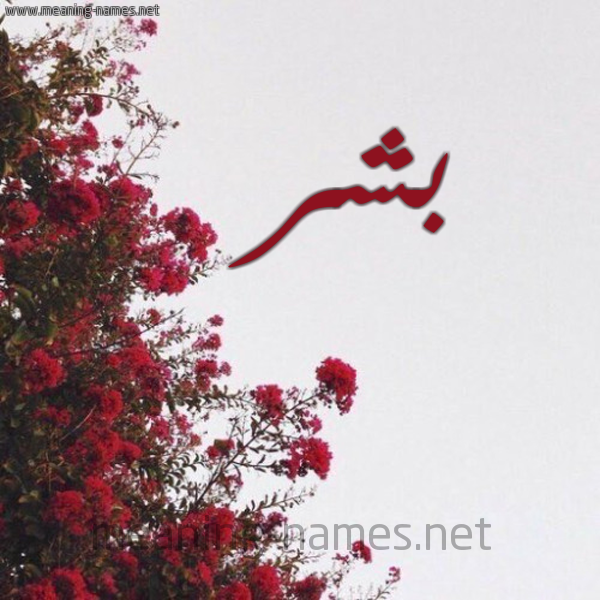 شكل 18 صوره الورد الأحمر للإسم بخط رقعة صورة اسم بشر Bshr