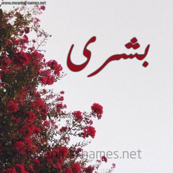 شكل 18 صوره الورد الأحمر للإسم بخط رقعة صورة اسم بشرى Boshra