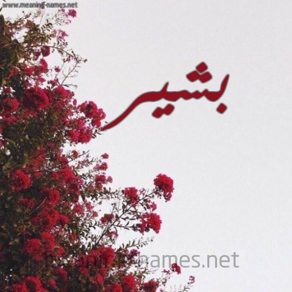 شكل 18 صوره الورد الأحمر للإسم بخط رقعة صورة اسم بشير Bsher