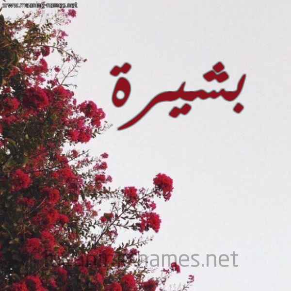 شكل 18 صوره الورد الأحمر للإسم بخط رقعة صورة اسم بشيرة Bshyrh