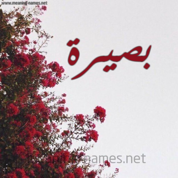 شكل 18 صوره الورد الأحمر للإسم بخط رقعة صورة اسم بصيرة BSIRH