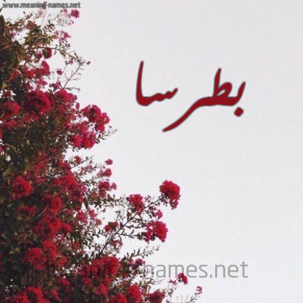 شكل 18 صوره الورد الأحمر للإسم بخط رقعة صورة اسم بطرسا botrsa