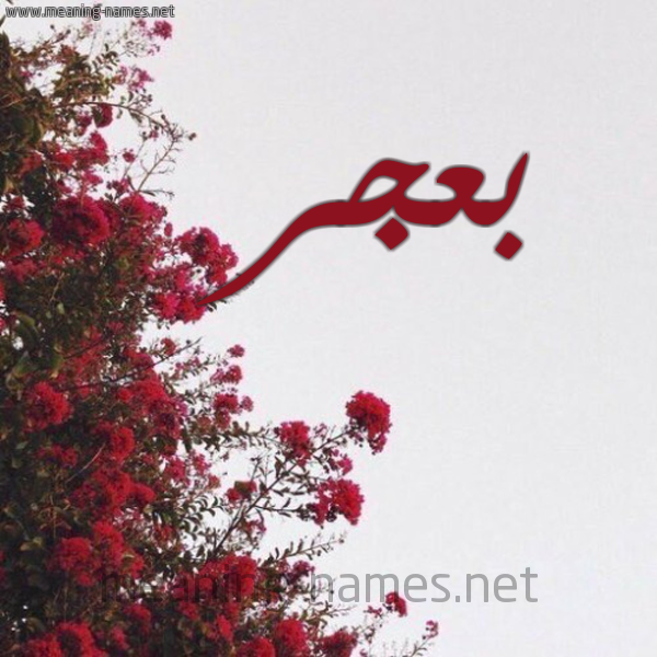 شكل 18 صوره الورد الأحمر للإسم بخط رقعة صورة اسم بعجر BAGR