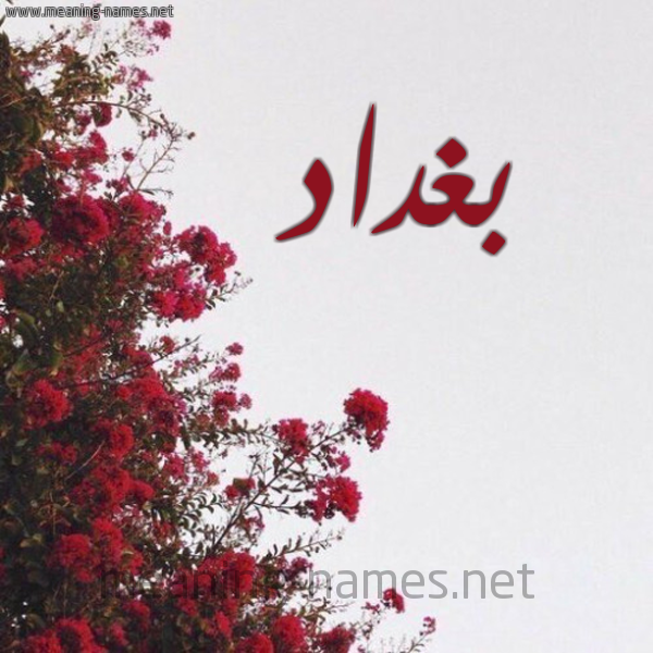 شكل 18 صوره الورد الأحمر للإسم بخط رقعة صورة اسم بغداد Bghdad