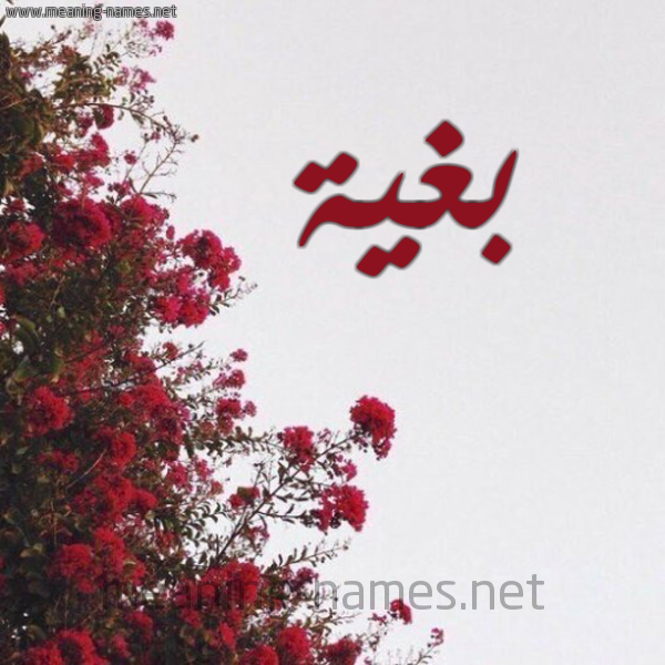 شكل 18 صوره الورد الأحمر للإسم بخط رقعة صورة اسم بغية Bghyh