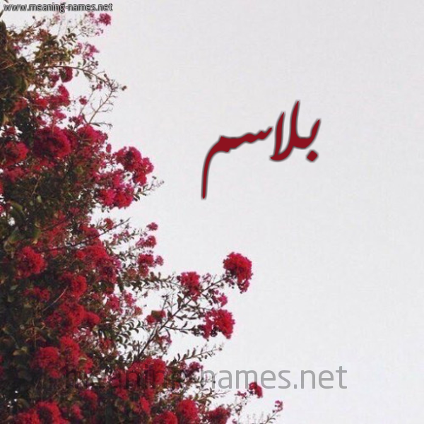 شكل 18 صوره الورد الأحمر للإسم بخط رقعة صورة اسم بلاسم Blasm