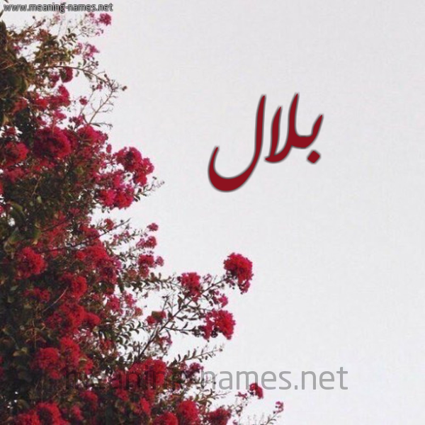 شكل 18 صوره الورد الأحمر للإسم بخط رقعة صورة اسم بلال بِلال-Blal