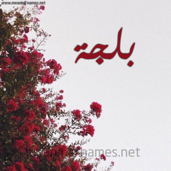شكل 18 صوره الورد الأحمر للإسم بخط رقعة صورة اسم بلجة Bljh