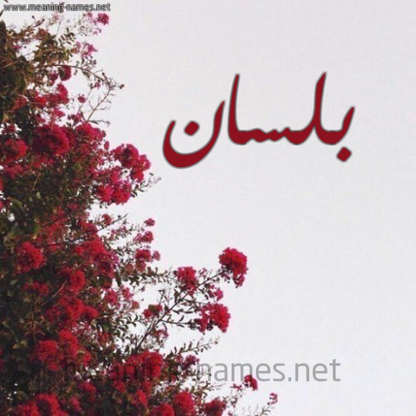 شكل 18 صوره الورد الأحمر للإسم بخط رقعة صورة اسم بلسان Blsan