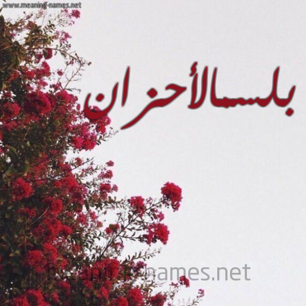شكل 18 صوره الورد الأحمر للإسم بخط رقعة صورة اسم بلسمالأحزان Blsmal'ahzan
