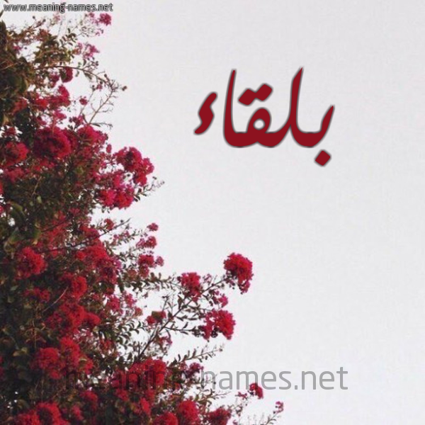 شكل 18 صوره الورد الأحمر للإسم بخط رقعة صورة اسم بلقاء Blqa'a