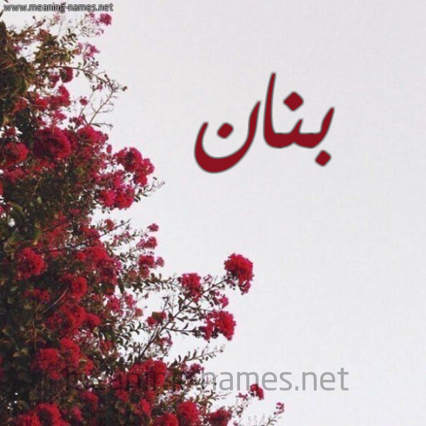 شكل 18 صوره الورد الأحمر للإسم بخط رقعة صورة اسم بنان Bnan