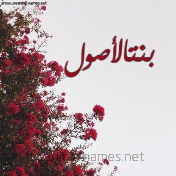 شكل 18 صوره الورد الأحمر للإسم بخط رقعة صورة اسم بنتالأصول Bntal'aswl